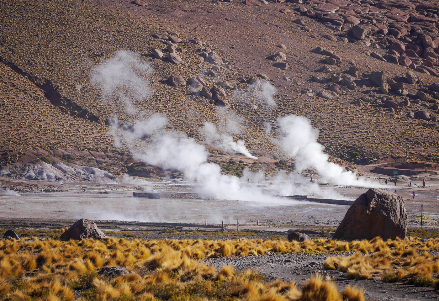  Tatio Geysers 